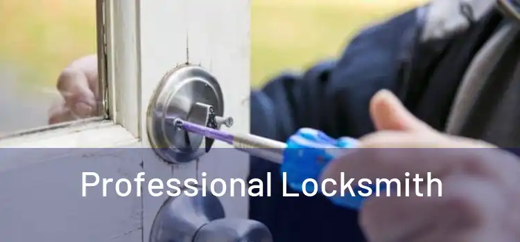  Professional Locksmith 